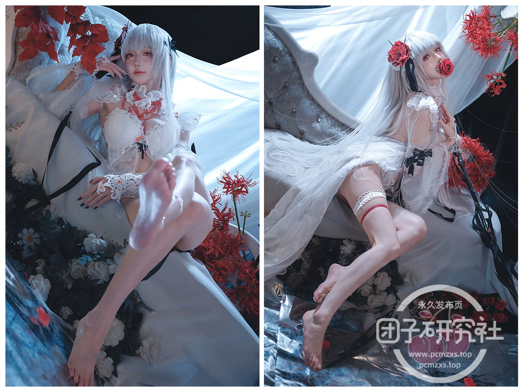 图片[3]-Coser.050 阿包也是兔娘 [合集 102 套]-团子研究社